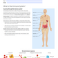 1. Immune | Overview of the Immune System