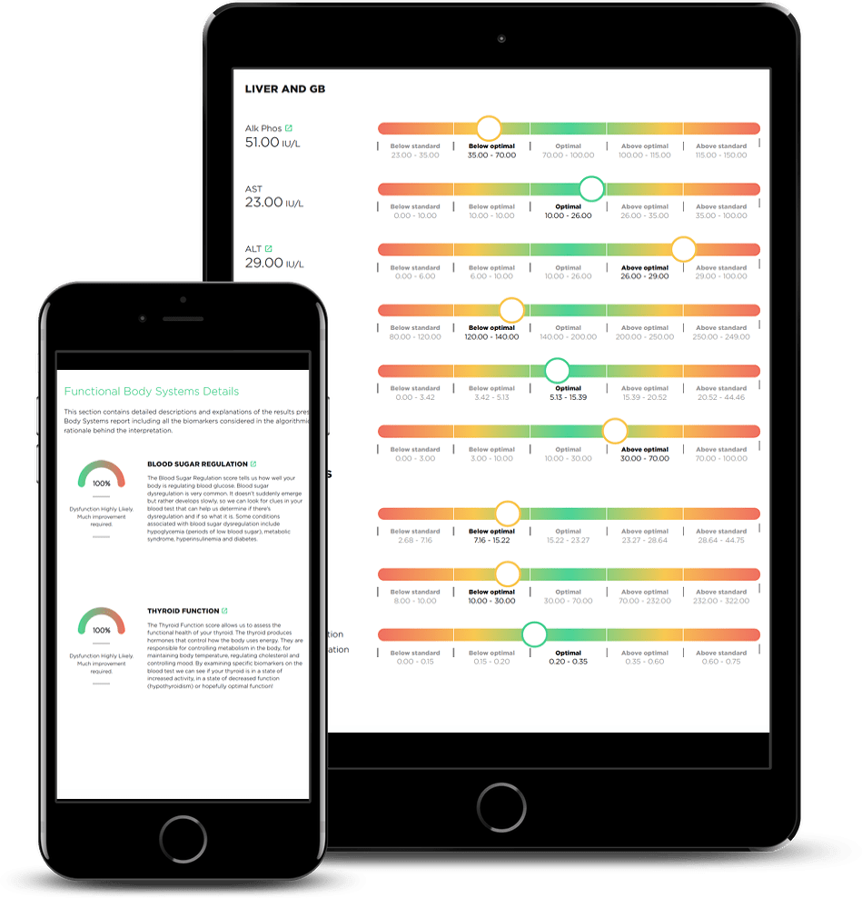 Optimal DX Functional Health Report