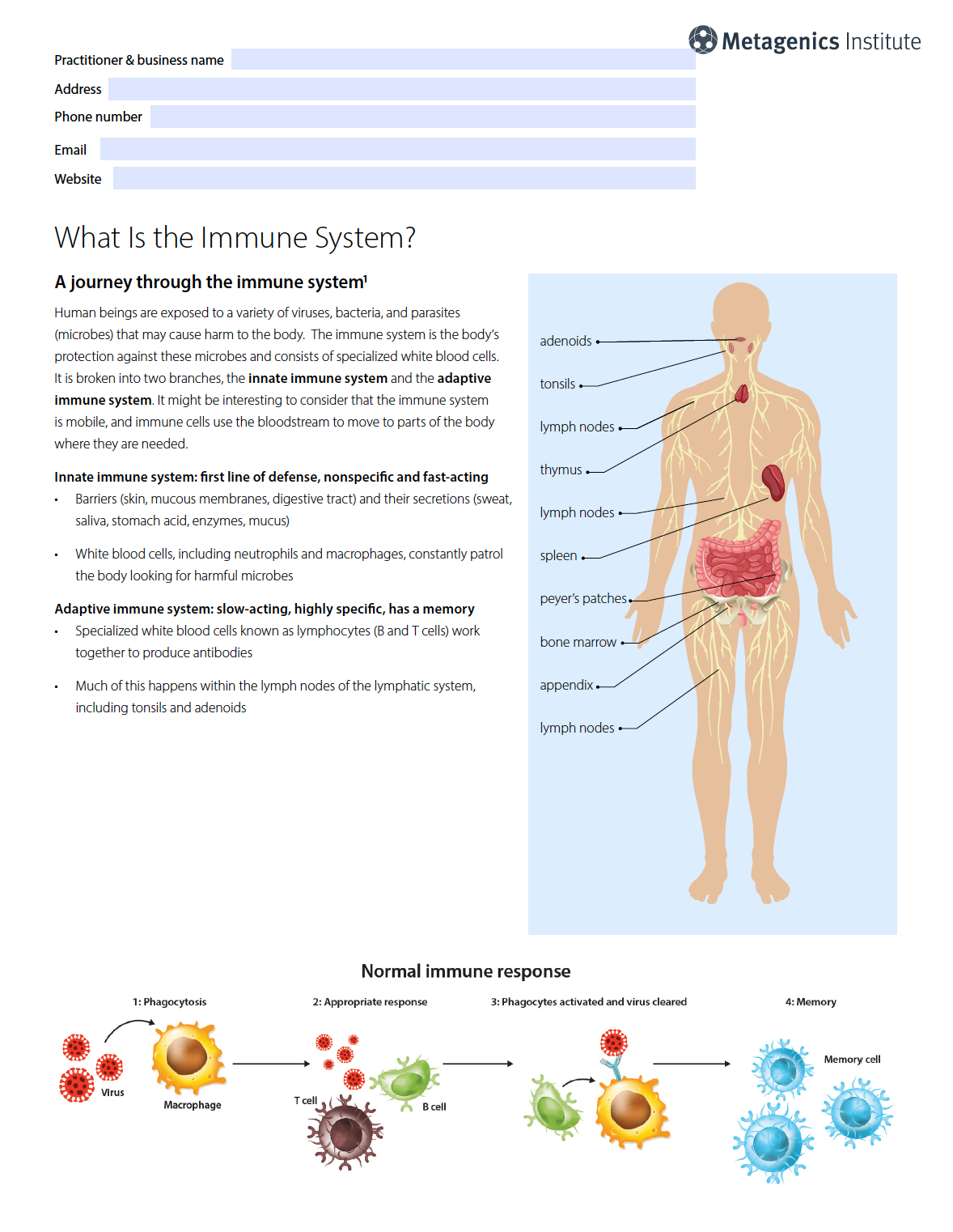 1. Immune | Overview of the Immune System