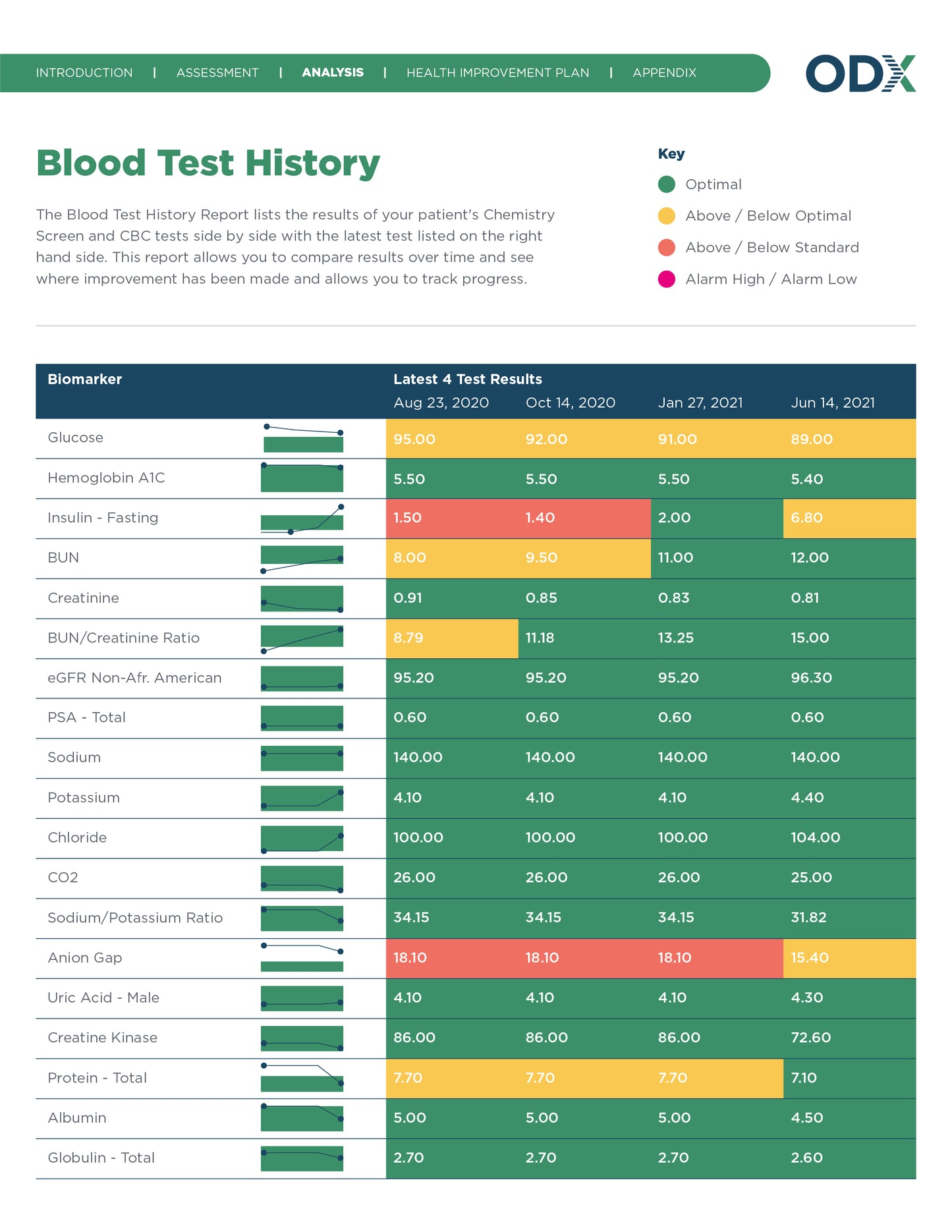Optimal DX Functional Health Report