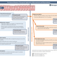 2. Immune Infographic: The Immune Response
